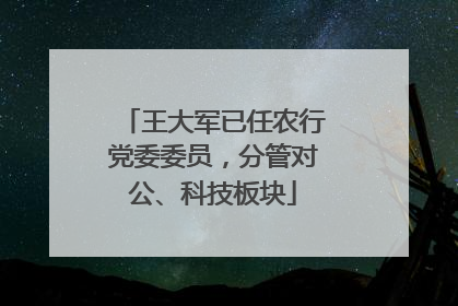 王大军已任农行党委委员，分管对公、科技板块