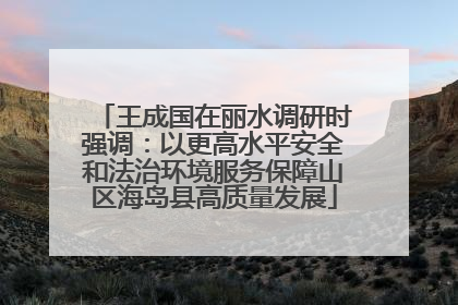 王成国在丽水调研时强调：以更高水平安全和法治环境服务保障山区海岛县高质量发展
