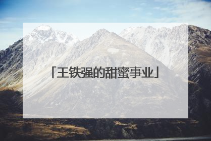 王铁强的甜蜜事业