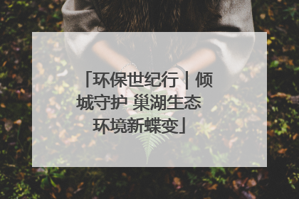 环保世纪行｜倾城守护 巢湖生态环境新蝶变
