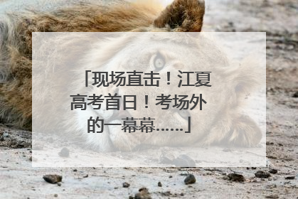 现场直击！江夏高考首日！考场外的一幕幕……