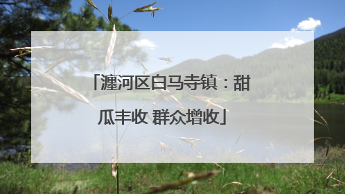 瀍河区白马寺镇：甜瓜丰收 群众增收