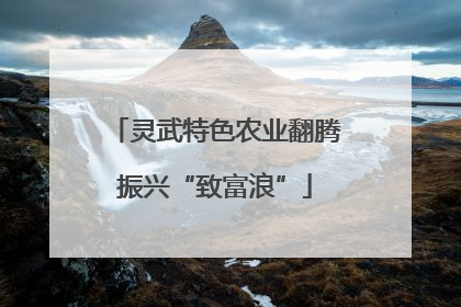灵武特色农业翻腾振兴“致富浪”