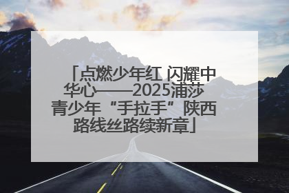 点燃少年红 闪耀中华心——2025浦莎青少年“手拉手”陕西路线丝路续新章