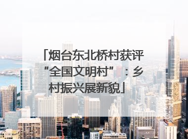 烟台东北桥村获评“全国文明村”：乡村振兴展新貌