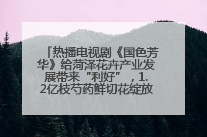 热播电视剧《国色芳华》给菏泽花卉产业发展带来“利好”，1.2亿枝芍药鲜切花绽放“国色芳华”