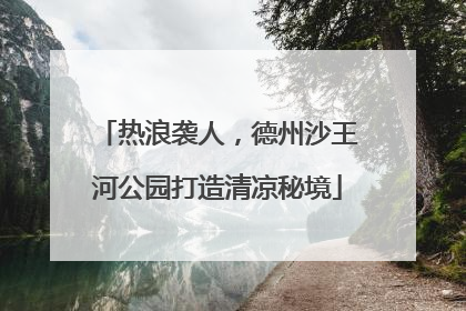 热浪袭人，德州沙王河公园打造清凉秘境