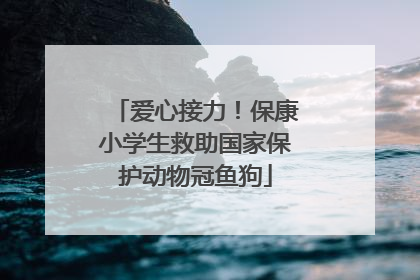 爱心接力！保康小学生救助国家保护动物冠鱼狗