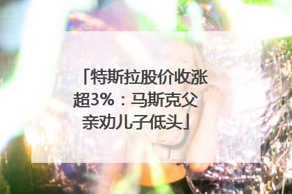 特斯拉股价收涨超3%：马斯克父亲劝儿子低头