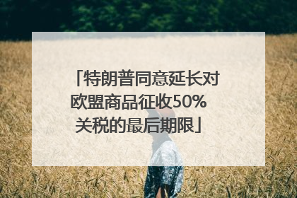 特朗普同意延长对欧盟商品征收50%关税的最后期限