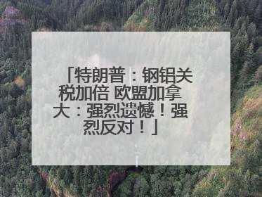 特朗普：钢铝关税加倍 欧盟加拿大：强烈遗憾！强烈反对！