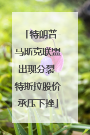 特朗普-马斯克联盟出现分裂 特斯拉股价承压下挫