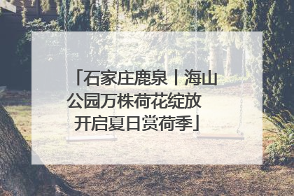 石家庄鹿泉丨海山公园万株荷花绽放 开启夏日赏荷季