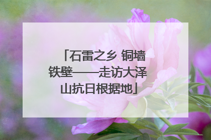 石雷之乡 铜墙铁壁——走访大泽山抗日根据地