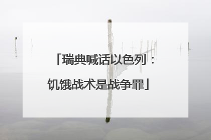 瑞典喊话以色列：饥饿战术是战争罪