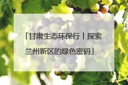 甘肃生态环保行丨探索兰州新区的绿色密码