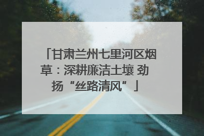 甘肃兰州七里河区烟草：深耕廉洁土壤 劲扬“丝路清风”