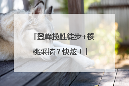登峰揽胜徒步+樱桃采摘？快炫！