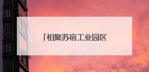 相聚苏宿工业园区！苏州、宿迁青年企业家共谋发展