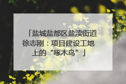 盐城盐都区盐渎街道徐志刚：项目建设工地上的“啄木鸟”