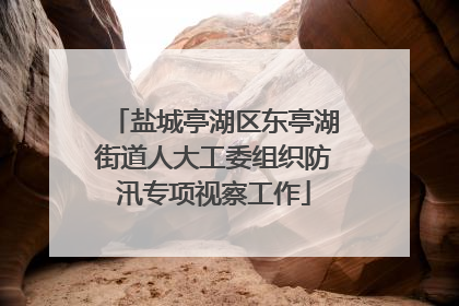 盐城亭湖区东亭湖街道人大工委组织防汛专项视察工作