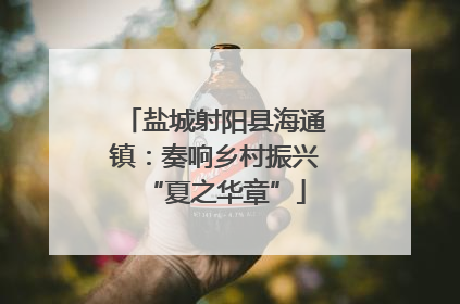 盐城射阳县海通镇：奏响乡村振兴“夏之华章”