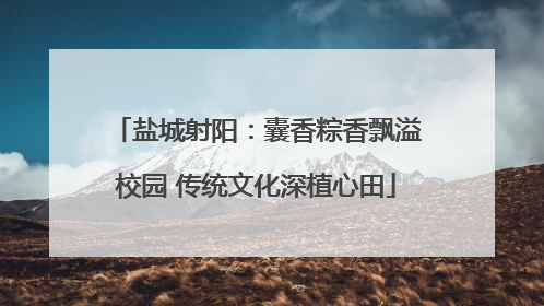 盐城射阳：囊香粽香飘溢校园 传统文化深植心田