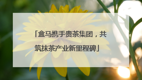 盒马携手贵茶集团，共筑抹茶产业新里程碑