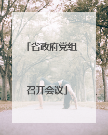 省政府党组召开会议