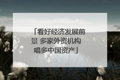 看好经济发展前景 多家外资机构唱多中国资产
