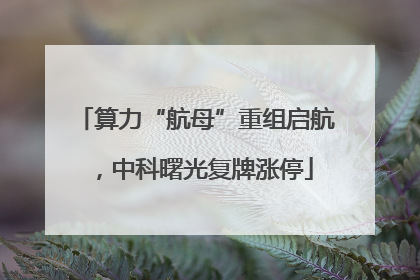 算力“航母”重组启航，中科曙光复牌涨停