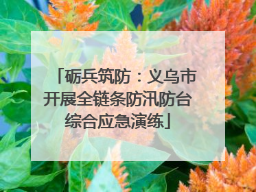 砺兵筑防：义乌市开展全链条防汛防台综合应急演练