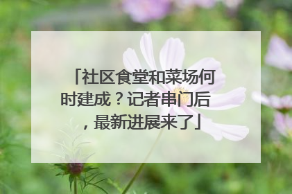 社区食堂和菜场何时建成？记者串门后，最新进展来了