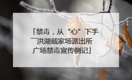 禁毒，从“心”下手――洪湖戴家场派出所广场禁毒宣传侧记