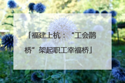 福建上杭：“工会鹊桥”架起职工幸福桥