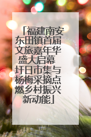 福建南安东田镇首届文旅嘉年华盛大启幕 圩日市集与杨梅采摘点燃乡村振兴新动能