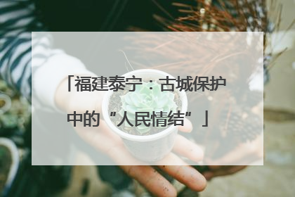 福建泰宁：古城保护中的“人民情结”