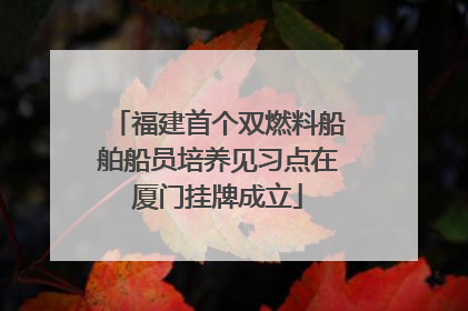 福建首个双燃料船舶船员培养见习点在厦门挂牌成立