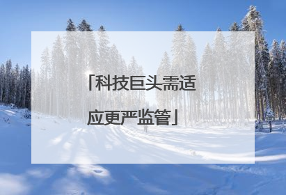 科技巨头需适应更严监管