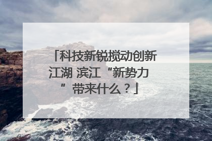 科技新锐搅动创新江湖 滨江“新势力”带来什么？