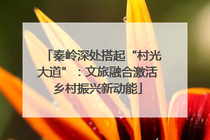 秦岭深处搭起“村光大道”：文旅融合激活乡村振兴新动能