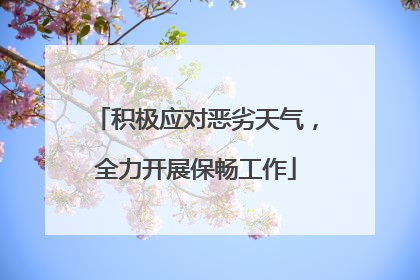 积极应对恶劣天气，全力开展保畅工作