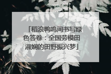 稻浪鸭鸣间书写绿色答卷：全国劳模田淑娴的田野振兴梦
