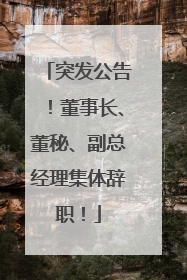 突发公告！董事长、董秘、副总经理集体辞职！