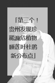 第三个！贵州发现珍稀濒危植物睡莲叶杜鹃新分布点
