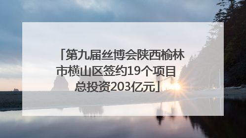 第九届丝博会陕西榆林市横山区签约19个项目 总投资203亿元