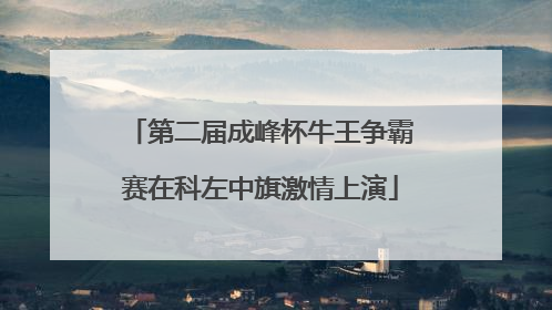 第二届成峰杯牛王争霸赛在科左中旗激情上演