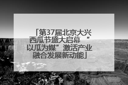 第37届北京大兴西瓜节盛大启幕 “以瓜为媒”激活产业融合发展新动能