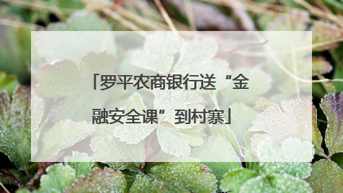 罗平农商银行送“金融安全课”到村寨