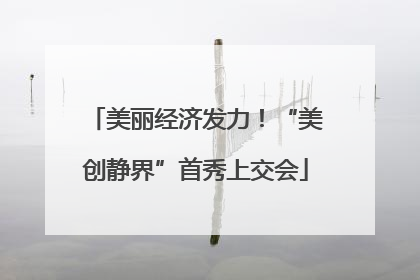 美丽经济发力！“美创静界”首秀上交会